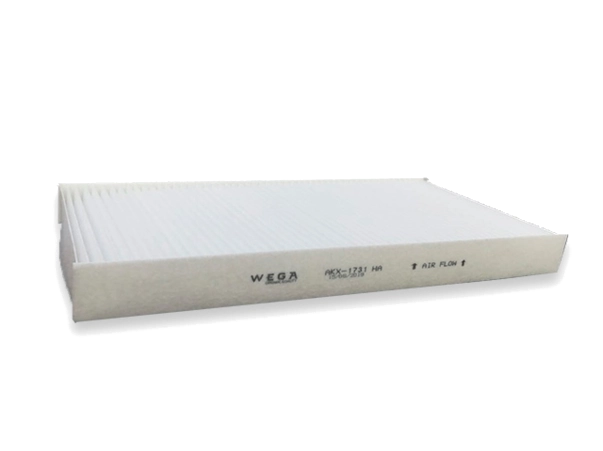 WEGA AKX-1731 - Baic X55 1,5 148cv 2018→